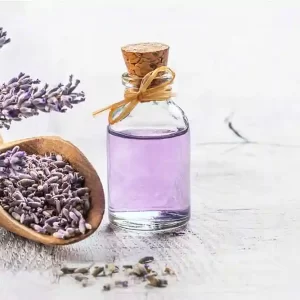 Lavender – زيت اللافندر